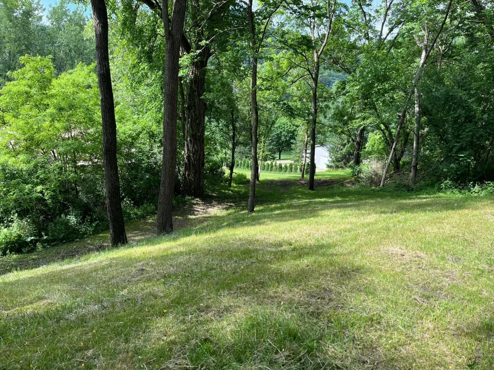 15315 County Road 25 Rollingstone, MN 55969
