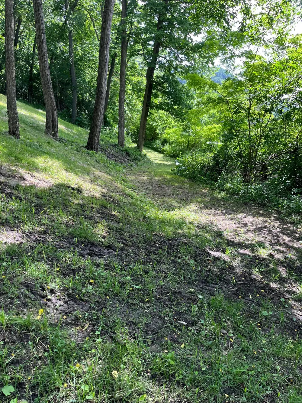 15315 County Road 25 Rollingstone, MN 55969