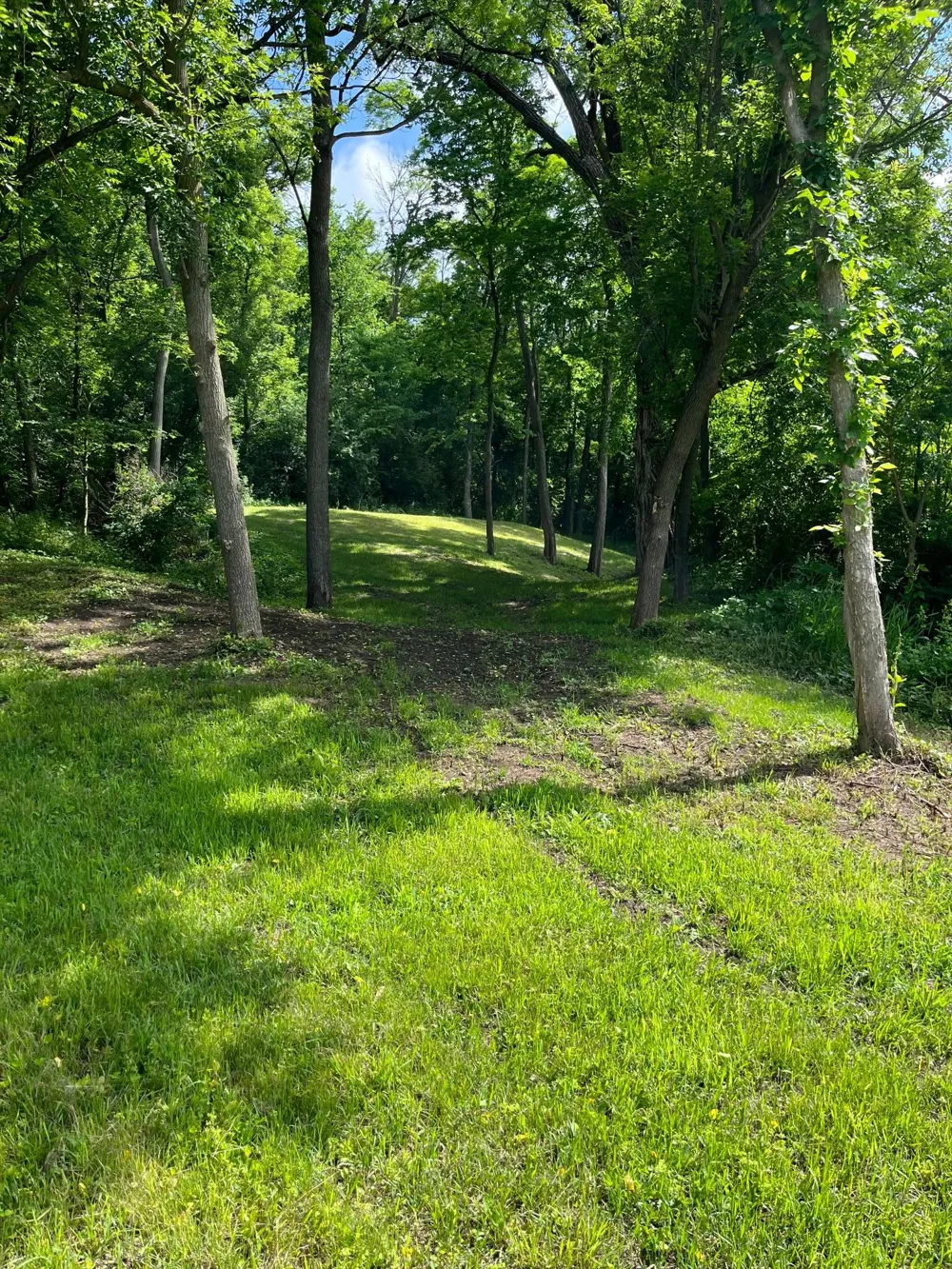 15315 County Road 25 Rollingstone, MN 55969