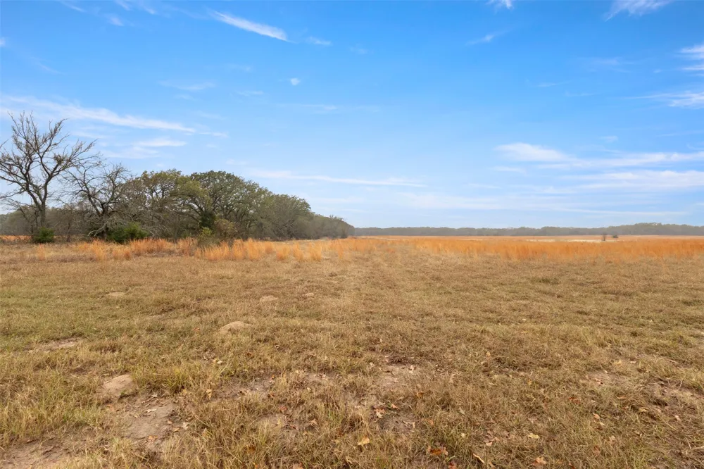County Road 2526 Quinlan, TX 75474
