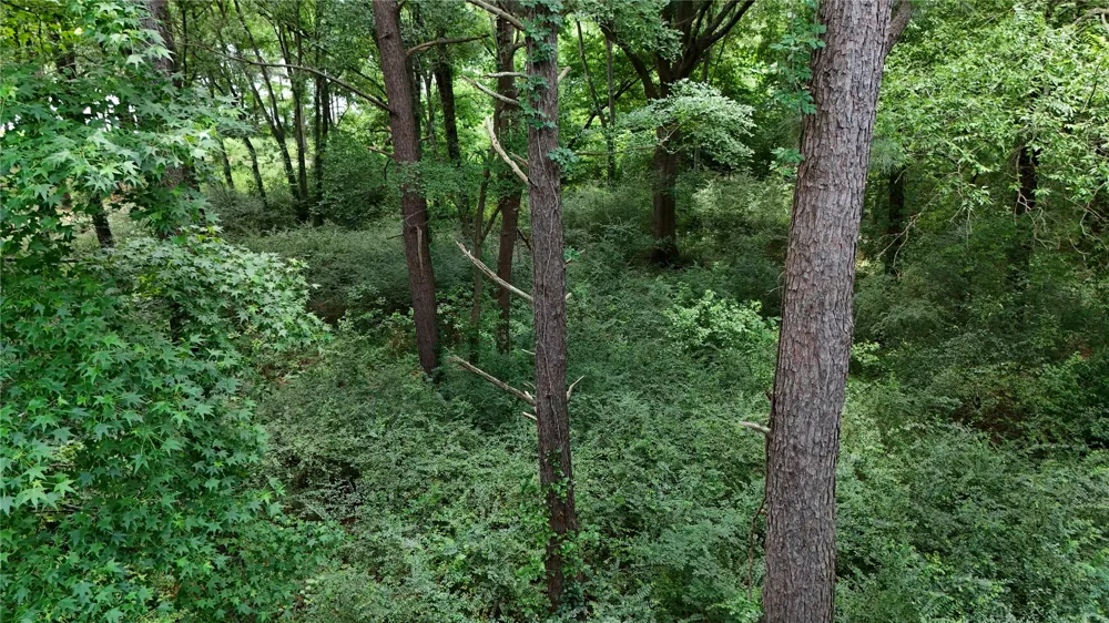 Grand View Drive Athens, TX 75752