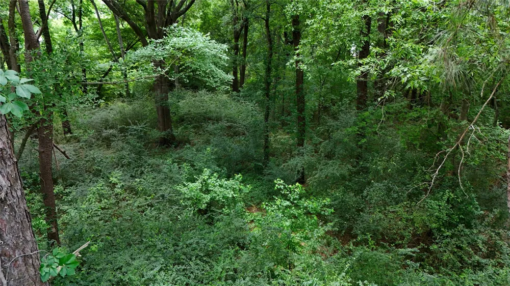 Grand View Drive Athens, TX 75752