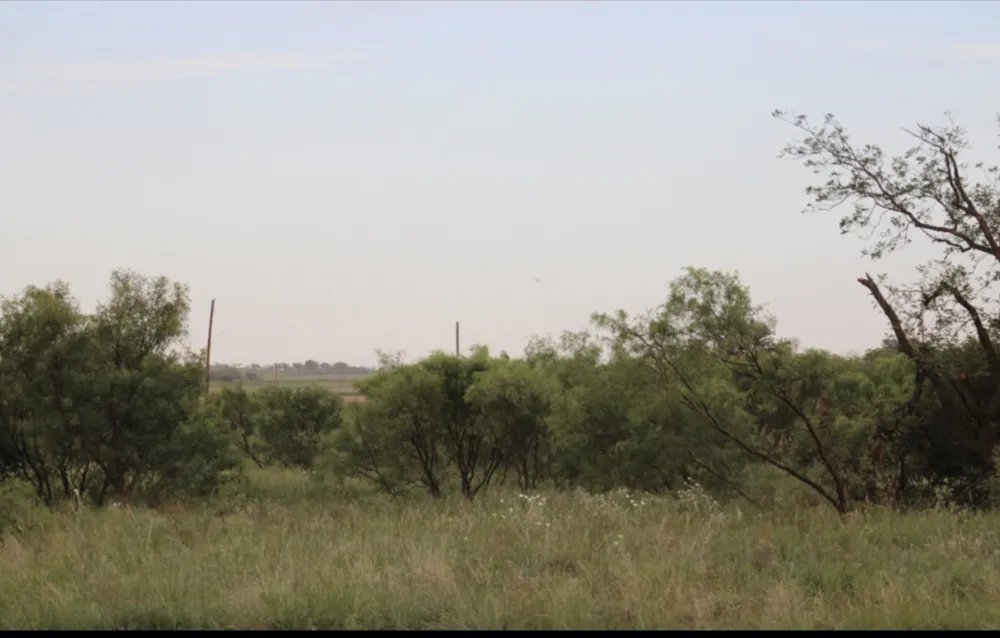 300 County Road 232 Rotan, TX 79546