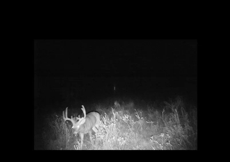 300 County Road 232 Rotan, TX 79546