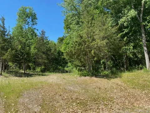 5 Dollar Ridge Lane
