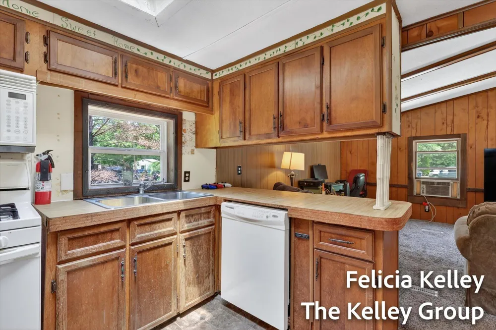 17158 Seneca Court Winfield Township, MI 49329