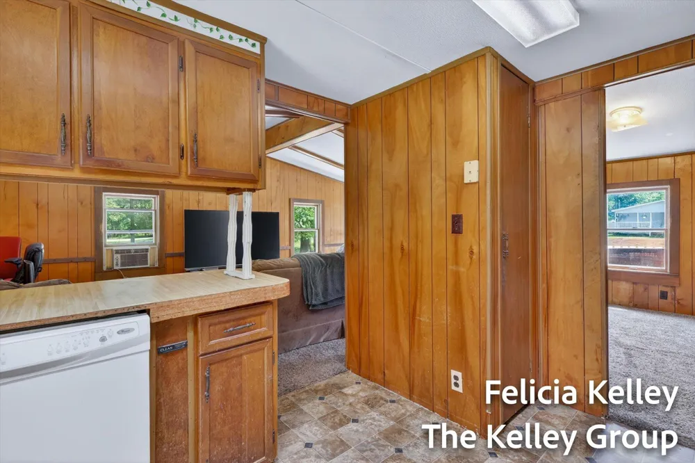 17158 Seneca Court Winfield Township, MI 49329
