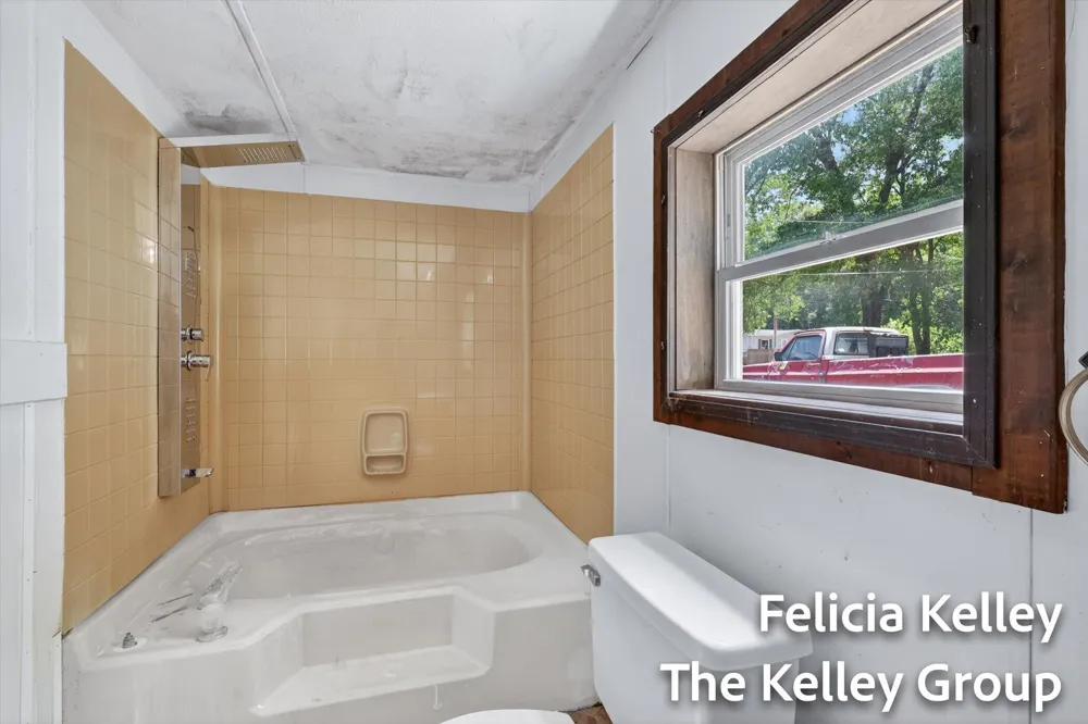 17158 Seneca Court Winfield Township, MI 49329