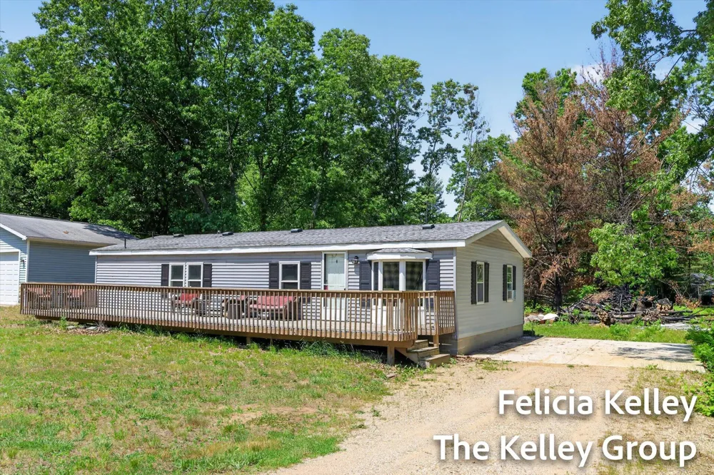 17158 Seneca Court Winfield Township, MI 49329