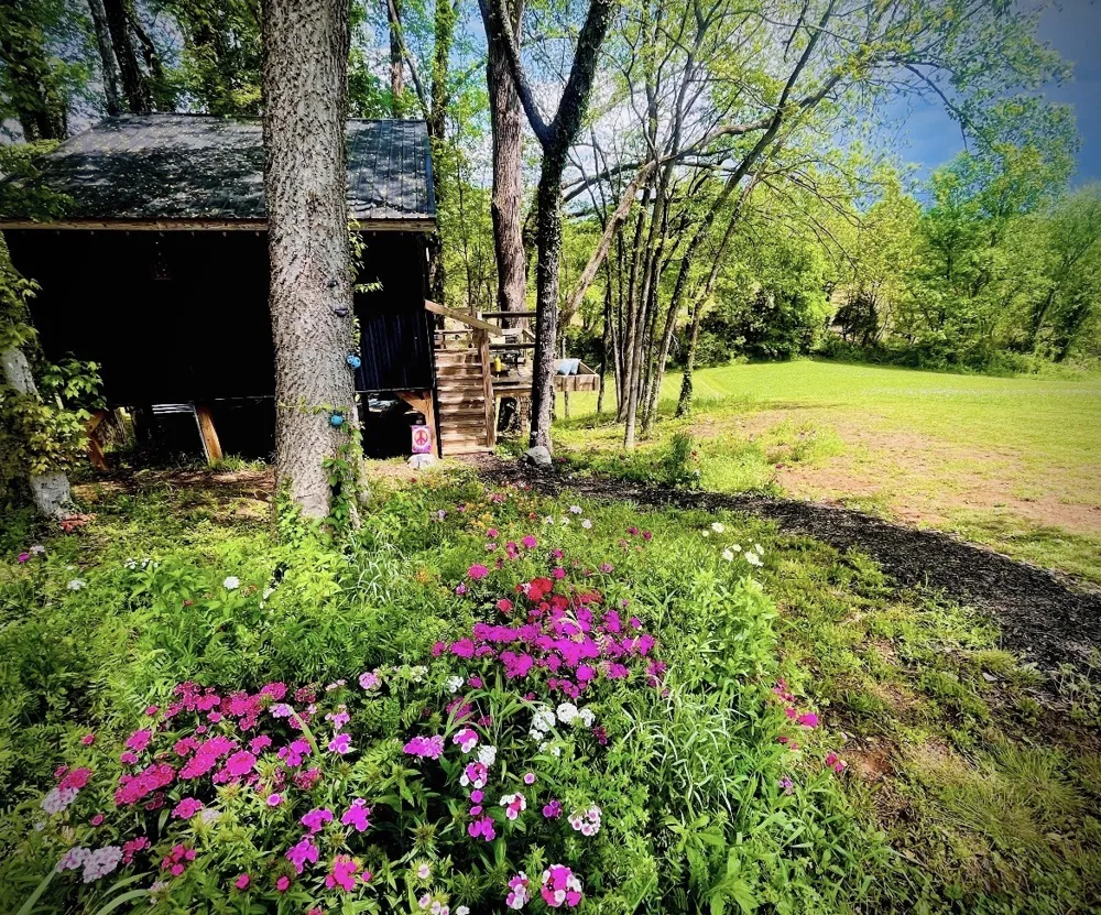 145 Gamble St Doyle, TN 38559