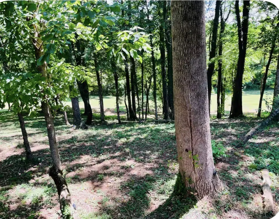 145 Gamble St Doyle, TN 38559