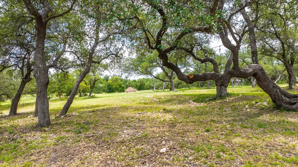 2016 Hidden Hills Drive Dripping Springs, TX 78620