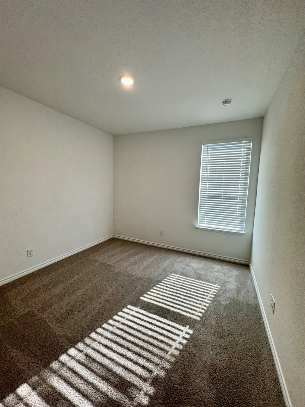 504 Saddle Lane Denton, TX 76205