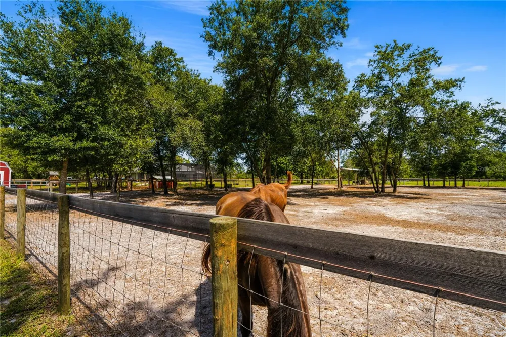 135 LINDA SUE DRIVE Lake Helen, FL 32744