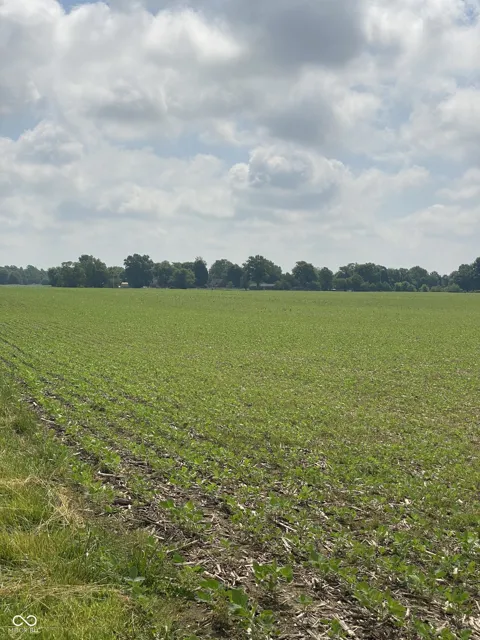 TBD E State Road 236