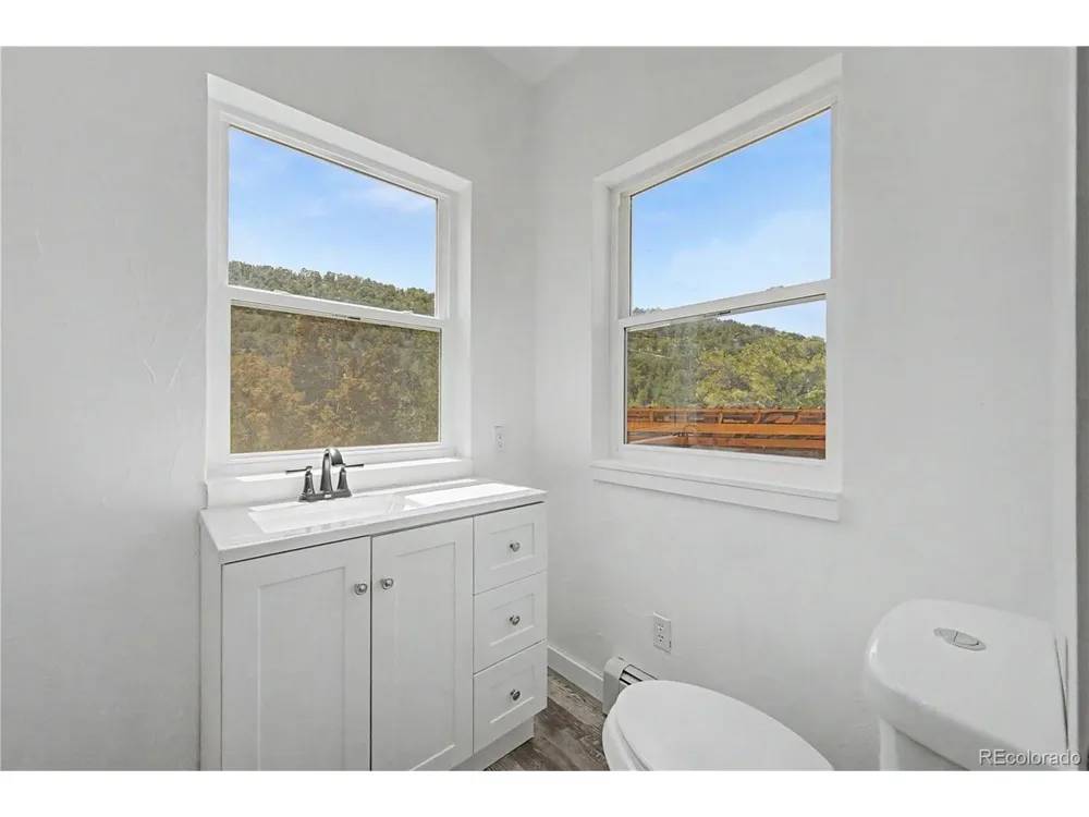1617 Pierce Gulch Road Cotopaxi, CO 81223