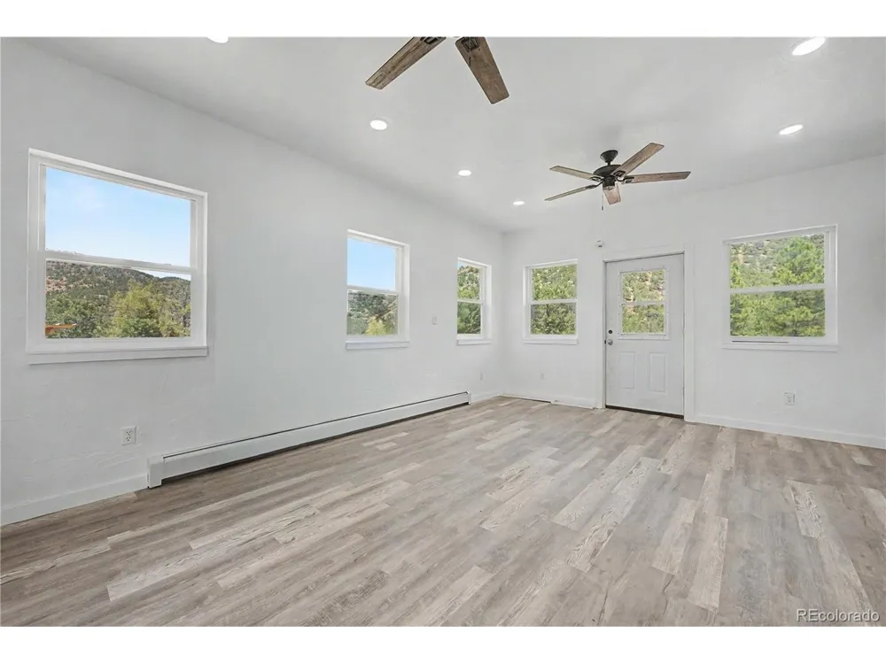 1617 Pierce Gulch Road Cotopaxi, CO 81223