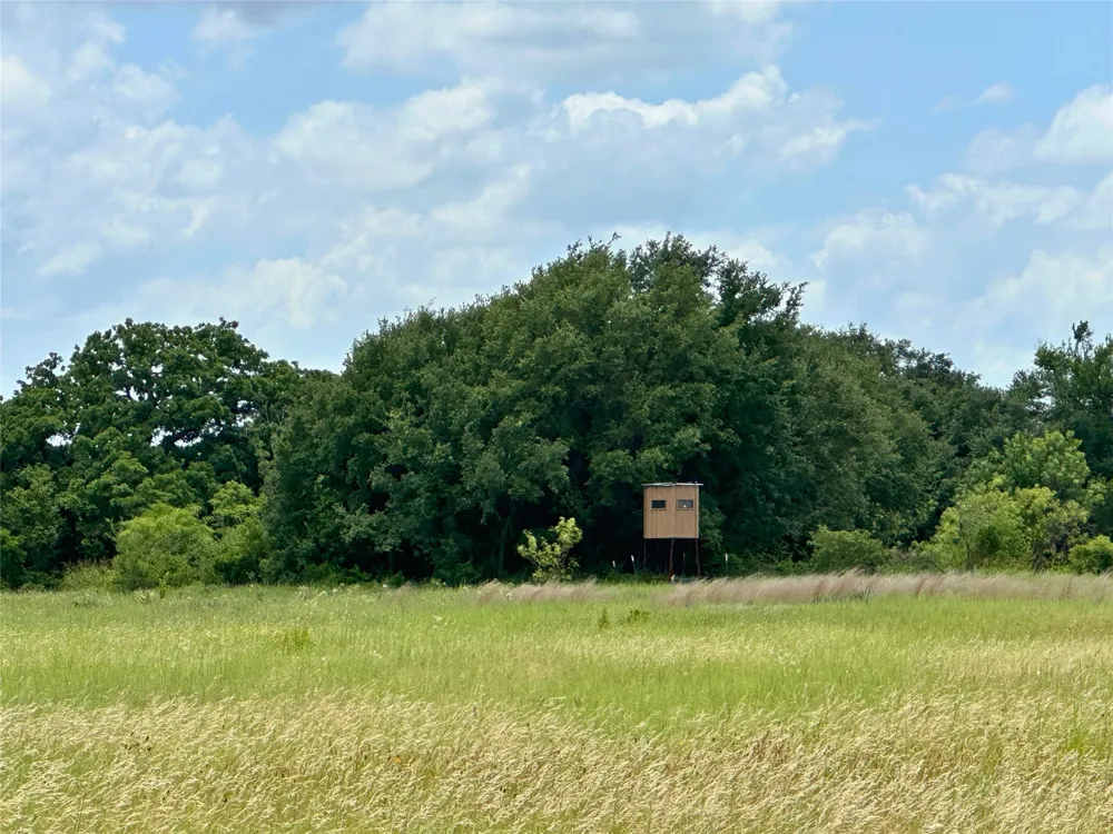 38 White Wing Circle Blanket, TX 76432