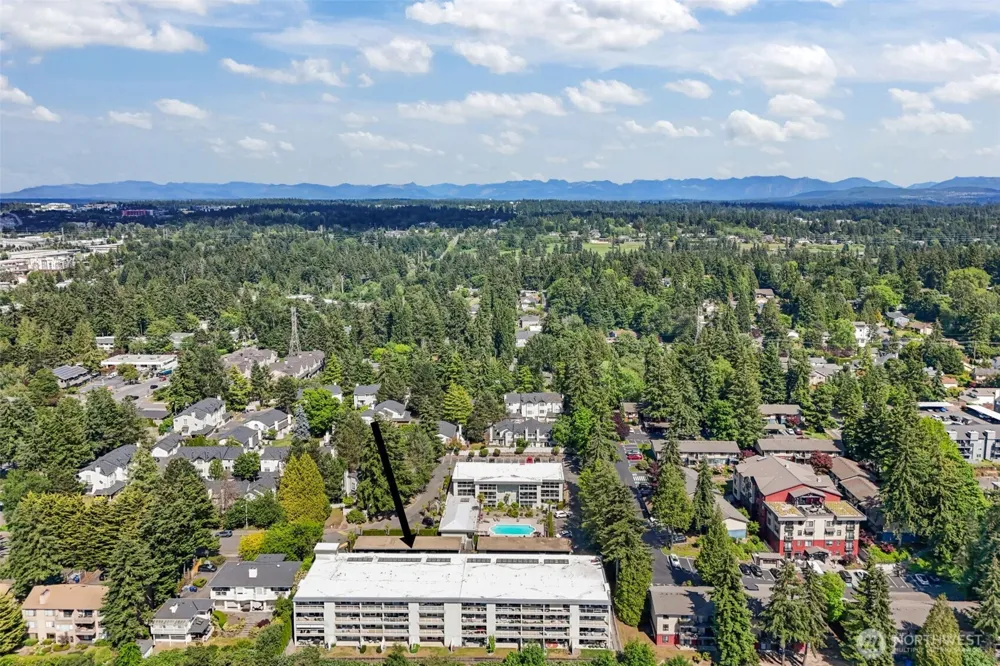 701 122nd Avenue NE #205 Bellevue, WA 98005