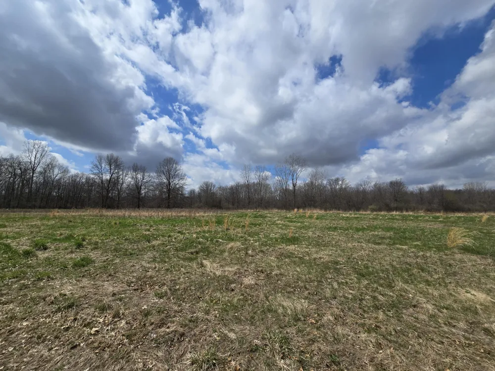 1284 Maple Grove Road Rives Township, MI 49201