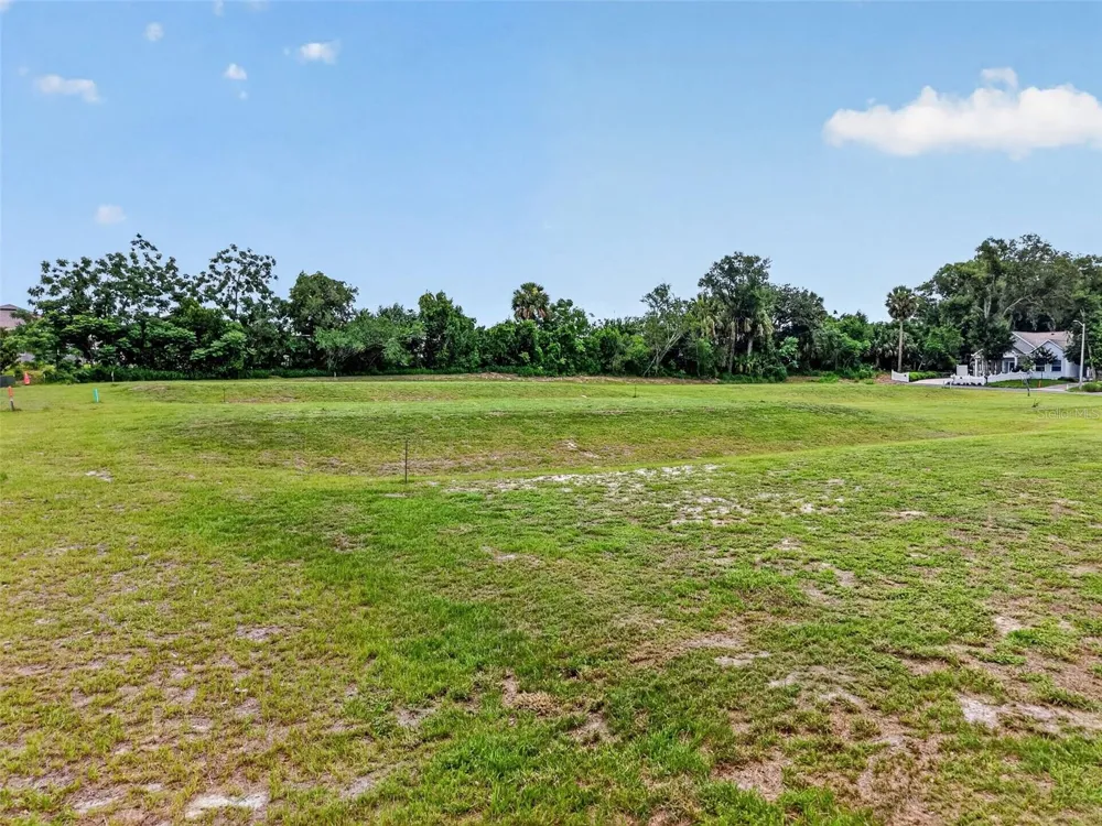 FEARON AVE & E 19TH AVE AVENUE #1-6 Mount Dora, FL 32757