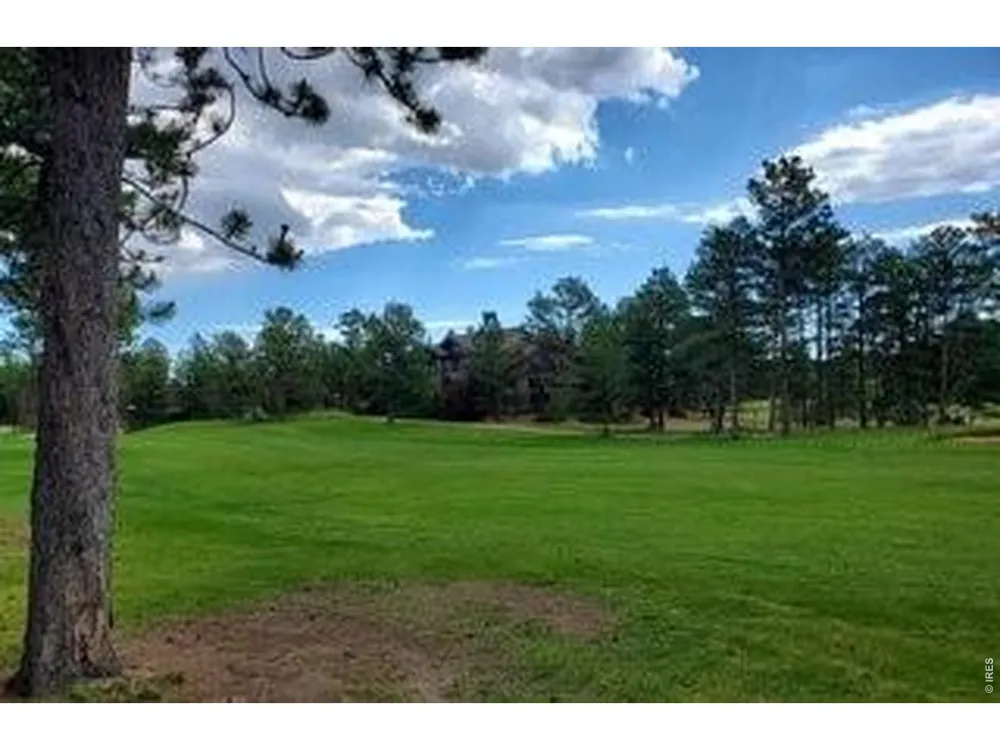 3021 Lake Arapahoe Court Red Feather Lakes, CO 80545