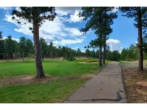 3021 Lake Arapahoe Court