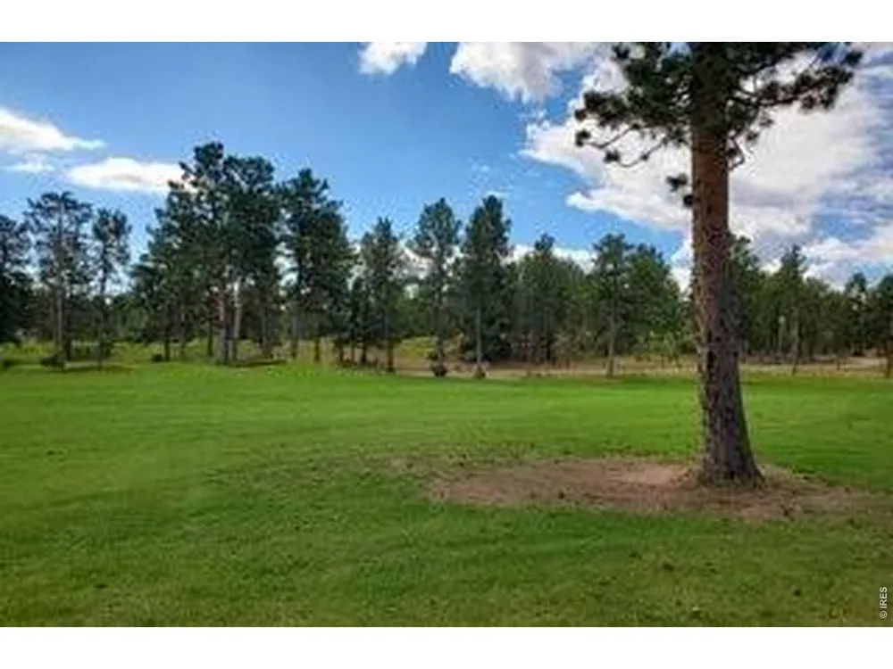 3021 Lake Arapahoe Court Red Feather Lakes, CO 80545