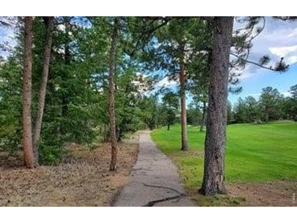 3021 Lake Arapahoe Court Red Feather Lakes, CO 80545