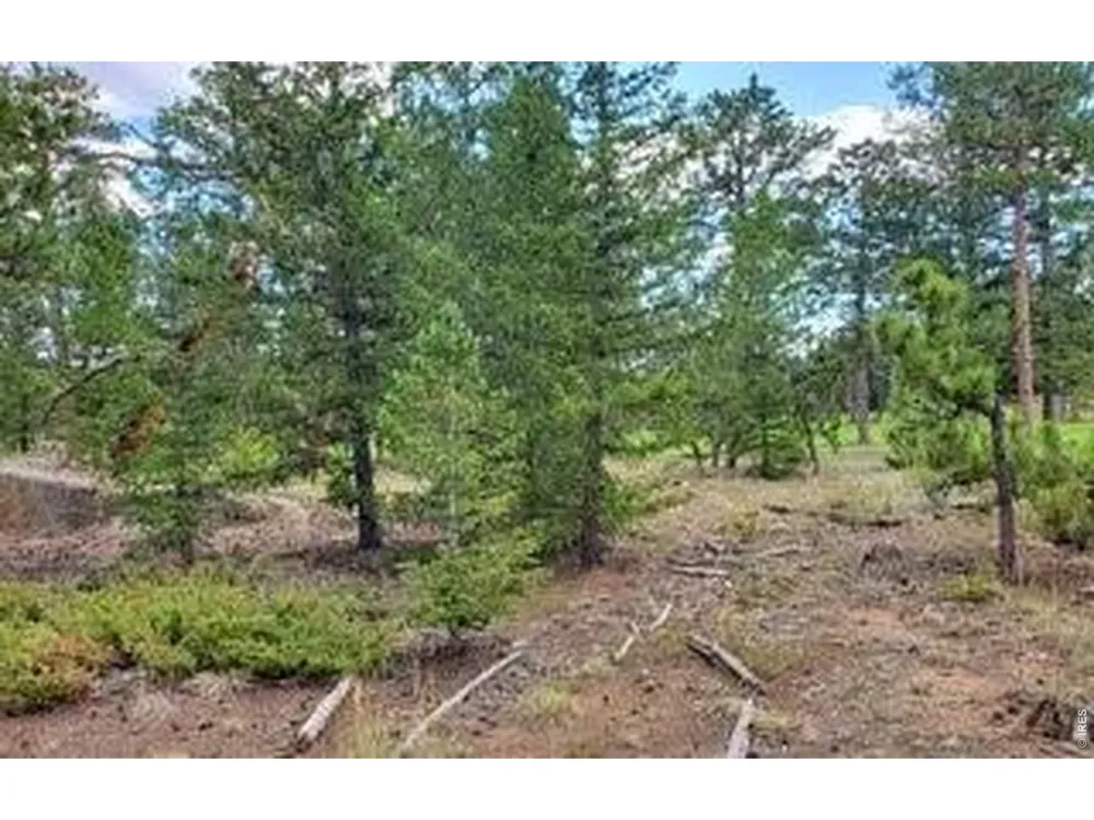 3021 Lake Arapahoe Court Red Feather Lakes, CO 80545