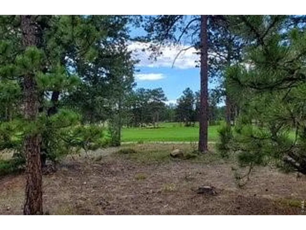 3021 Lake Arapahoe Court Red Feather Lakes, CO 80545
