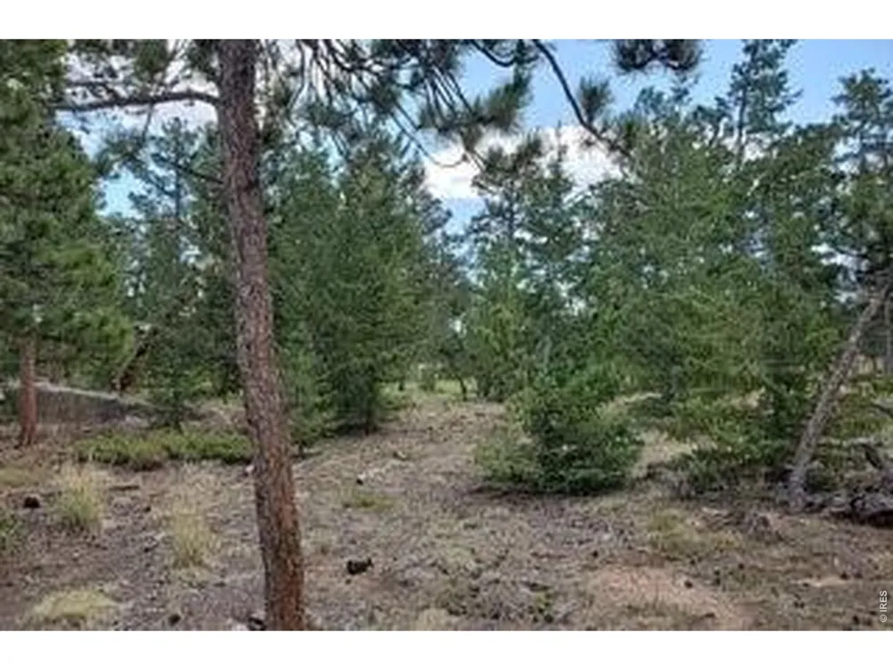 3021 Lake Arapahoe Court Red Feather Lakes, CO 80545