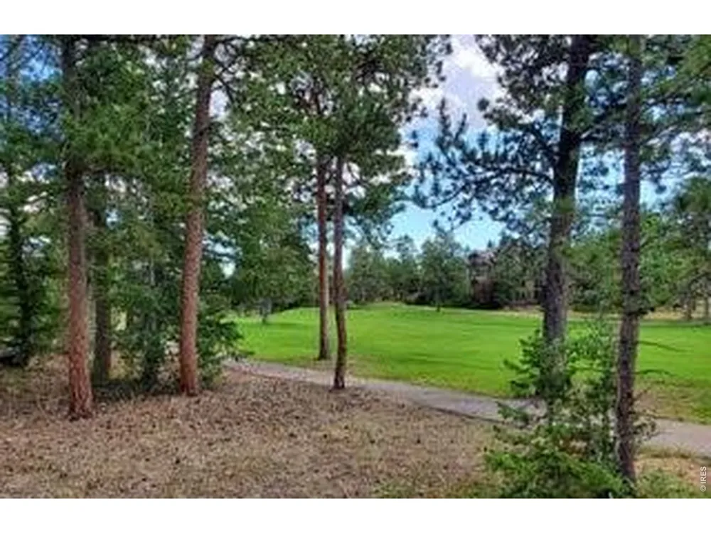 3021 Lake Arapahoe Court Red Feather Lakes, CO 80545