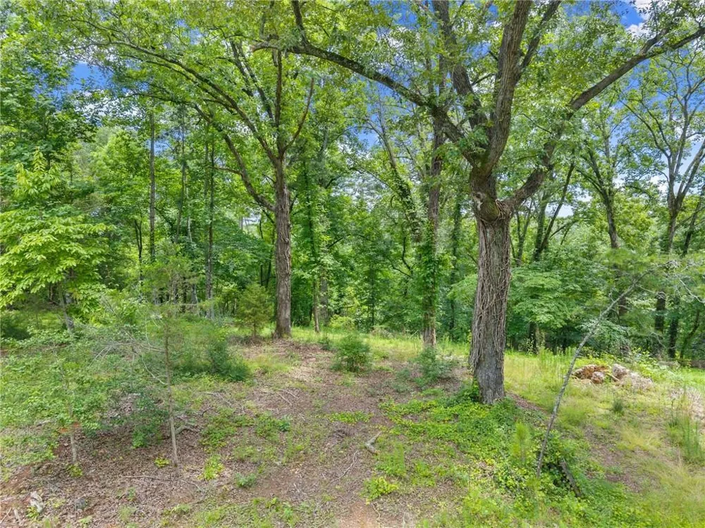 LOT 35 Lakemont Trail Demorest, GA 30535