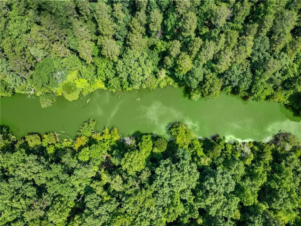 LOT 35 Lakemont Trail Demorest, GA 30535