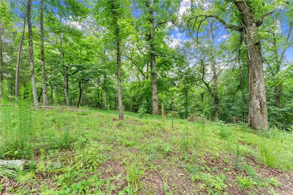 LOT 35 Lakemont Trail Demorest, GA 30535