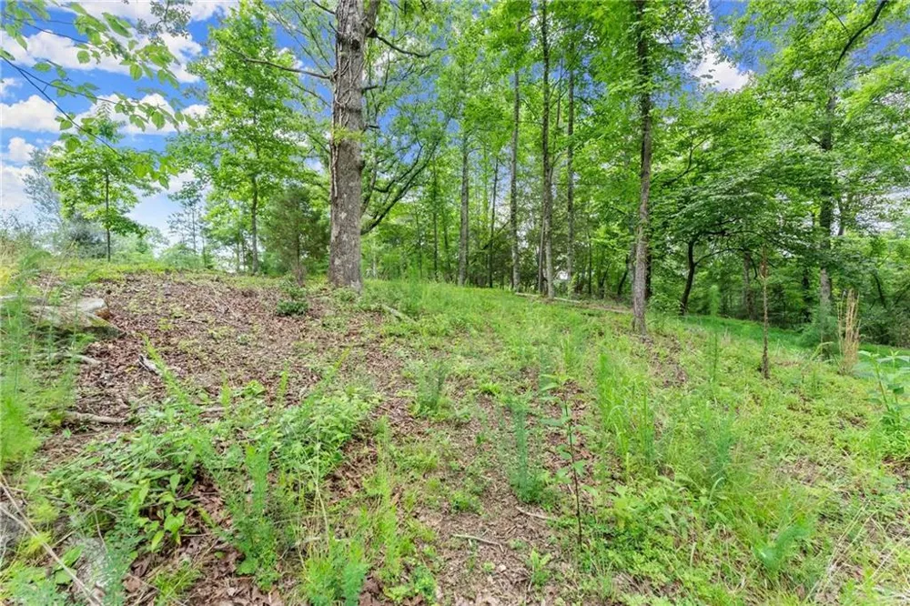 LOT 35 Lakemont Trail Demorest, GA 30535