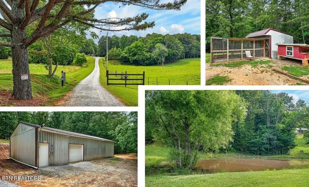 211 Arizona Lane Walling, TN 38587