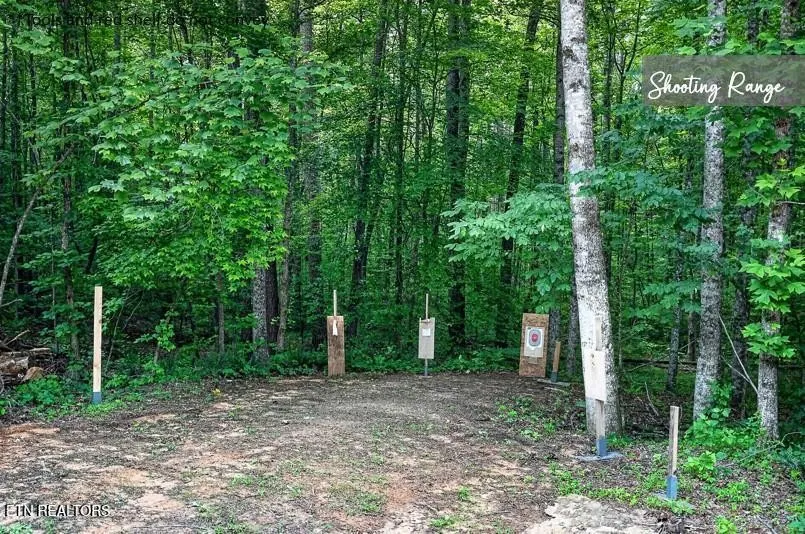 211 Arizona Lane Walling, TN 38587