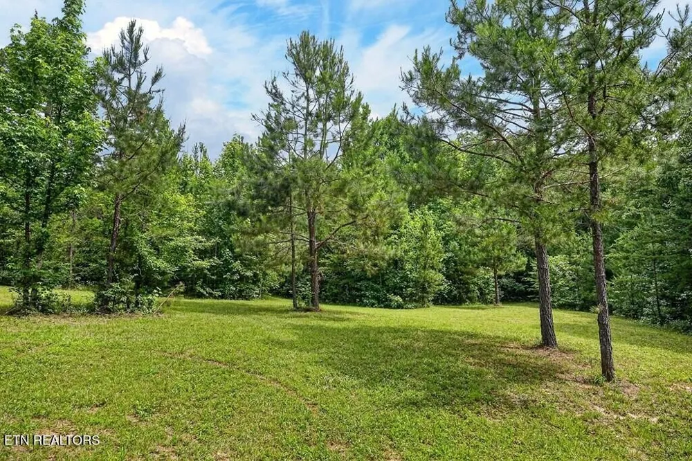 211 Arizona Lane Walling, TN 38587