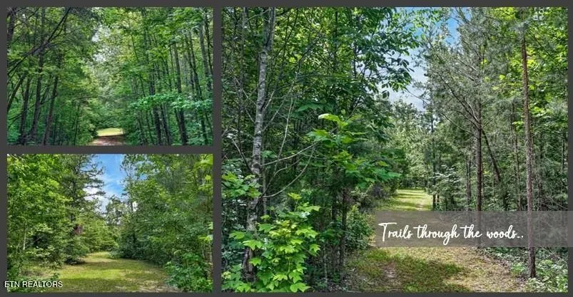 211 Arizona Lane Walling, TN 38587