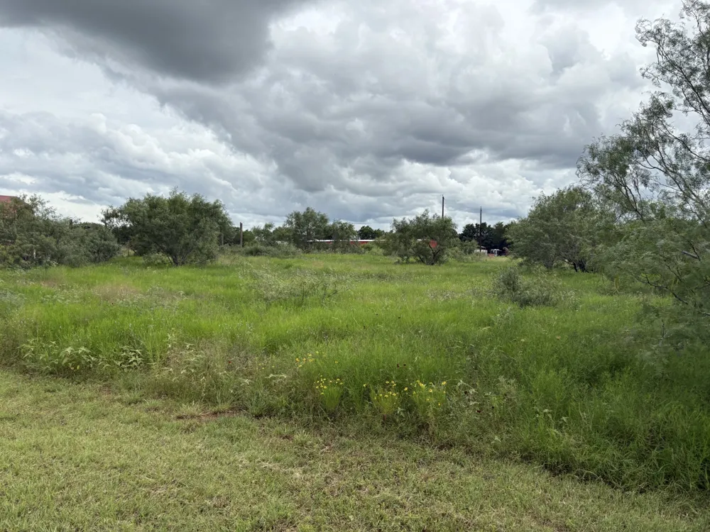 2990 S 304 Highway Rosanky, TX 78953