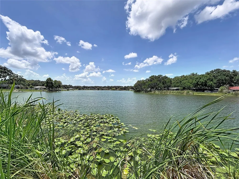 912 SHANGRI LA DRIVE Seffner, FL 33584