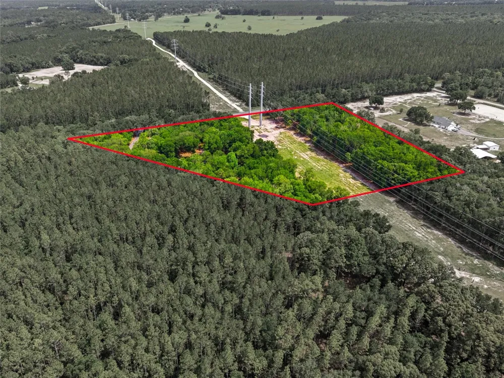 7050 NE STATE ROAD 121 Williston, FL 32696