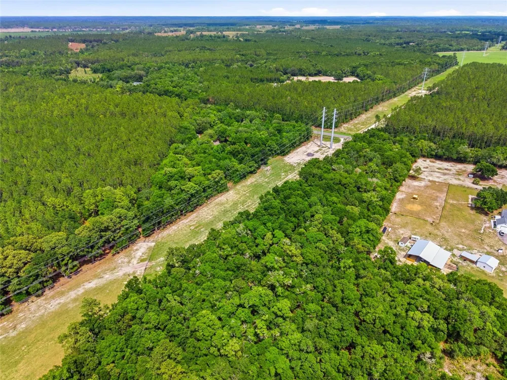 7050 NE STATE ROAD 121 Williston, FL 32696