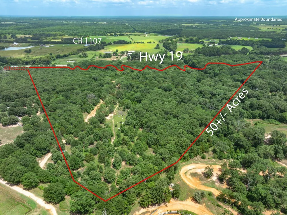 Tx-19 Edgewood, TX 75117