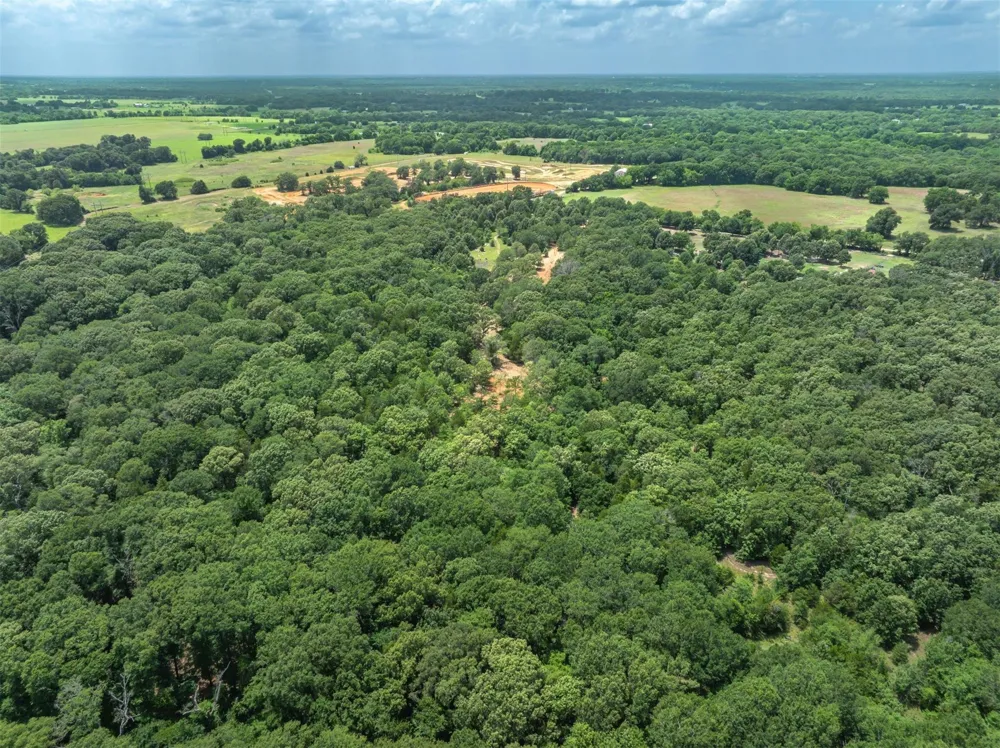 Tx-19 Edgewood, TX 75117