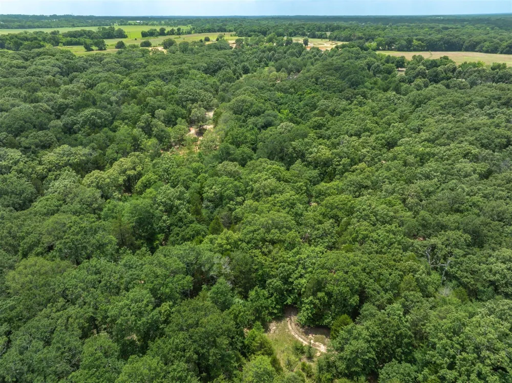 Tx-19 Edgewood, TX 75117