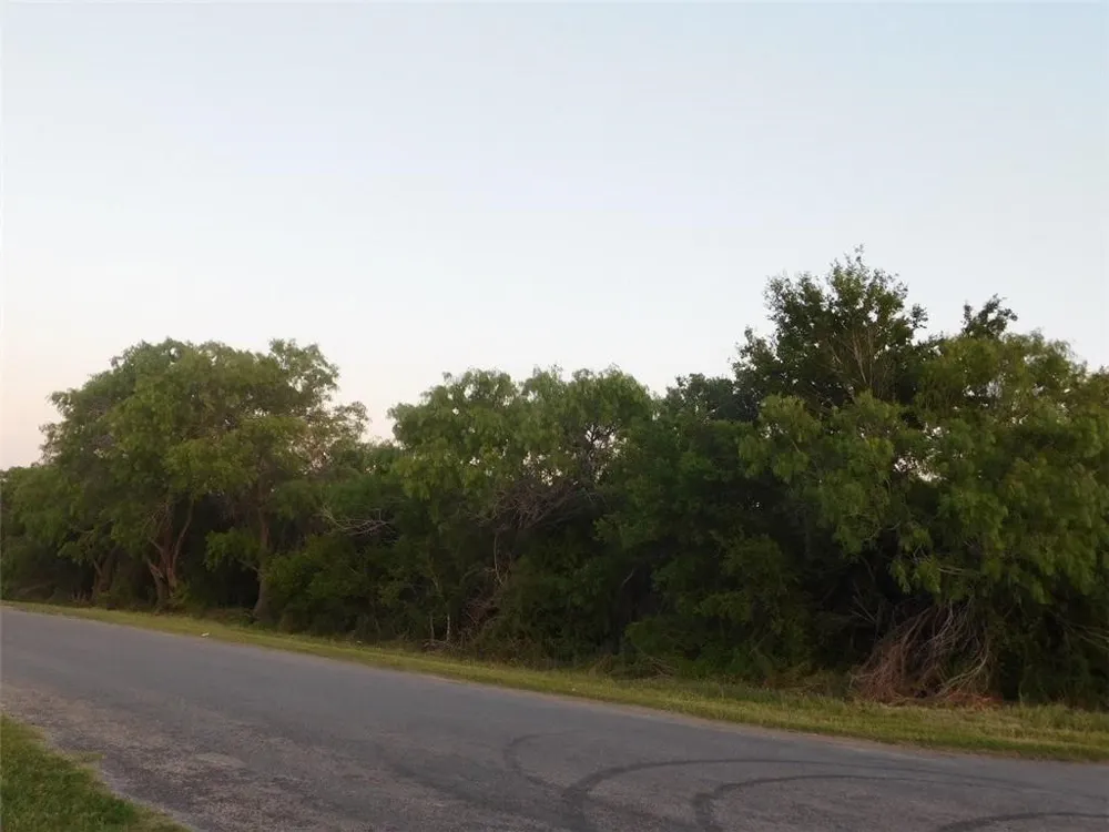 1500 Easterling/Goliad St. Street Alice, TX 78332