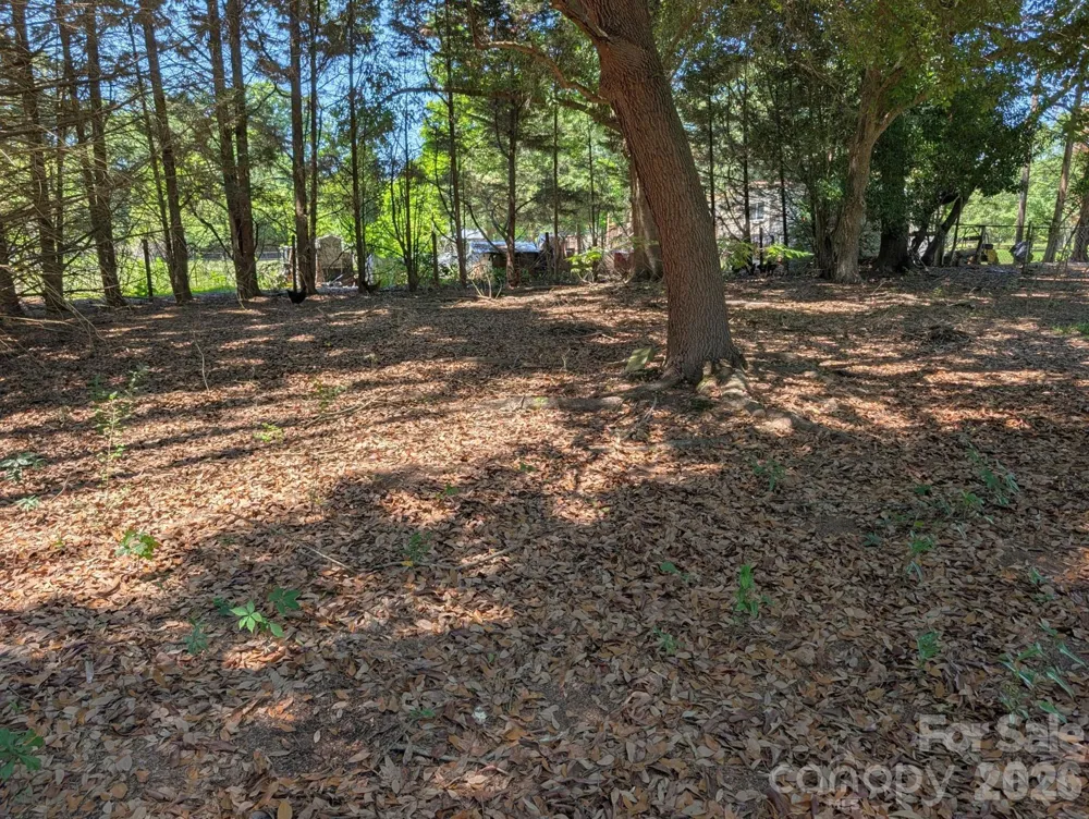 4053 Roddey Road Catawba, SC 29704
